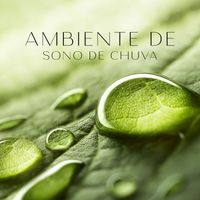 Rain Sounds & Nature Sounds - Ambiente de Sono de Chuva: A Maioria dos Sons Relaxantes para um Sono de Gualidade