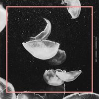 Zat - split Campbell Trio, Quiebre (2015)