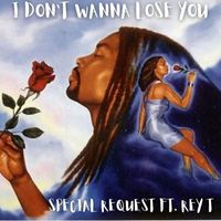 Special Request - I Don't Wanna Lose You