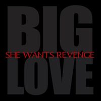 She Wants Revenge - Big Love