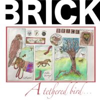 Brick - A Tethered Bird...