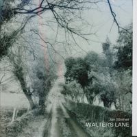 Jan Steiner - Walter's Lane
