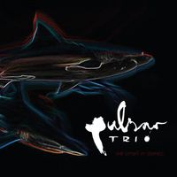 Pulsar Trio - We Smell in Stereo