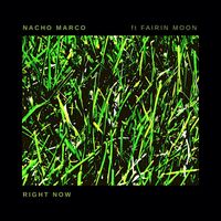 Nacho Marco - Right Now