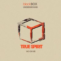 True Spirit - No On Me (Original Mix)