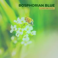 Bosphorian Blue - Love Harmony