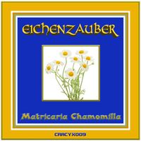 Eichenzauber - Matricaria Chamomilla