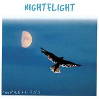 Steve Hogarty - NightFlight