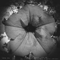 Vekh - Seditop