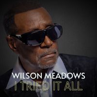 Wilson Meadows - I Tried It All