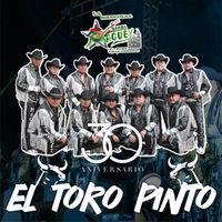 Banda Maguey - El Toro Pinto