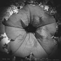 Vekh - Seditop