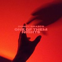 Donny Brasco - One of Them Nights