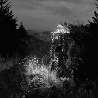Psycho & Plastic - Fragile Targets (Ambient Version)