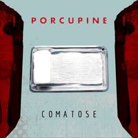 Porcupine - Comatose