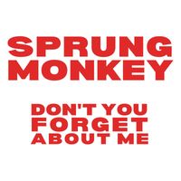 Sprung Monkey - Don't You (Forget About Me)