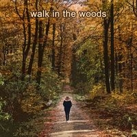 The Shadows - Walk in the Woods