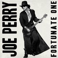 Joe Perry - Fortunate One
