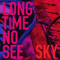 Sky - Long Time No See