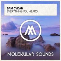 Sam Cydan - Everything You Heard
