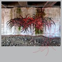 Schacke - Looks are deceiving