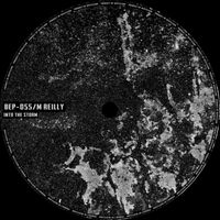 M Reilly - Into The Storm
