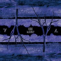 Feeble - Fall On You EP