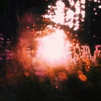 Northern Form - Bokeh