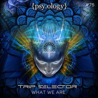 Trip Selector - What We Are