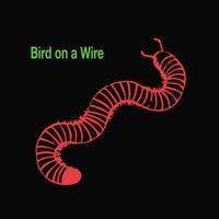 Bush Tetras - Bird on a Wire