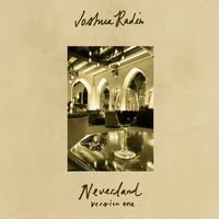 Joshua Radin - Neverland (version one)