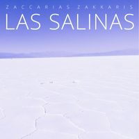 Zaccarias Zakkaris - Las Salinas