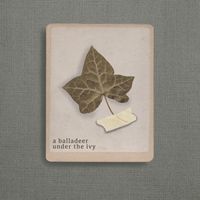 A Balladeer - Under The Ivy