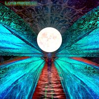 Asteroid 385 - Luna Mariposa