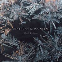 Deborah Offenhauser - Winter of Discontent