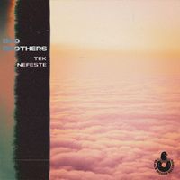 Bad Brothers - Tek Nefeste