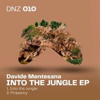 Davide Mentesana - Into the Jungle
