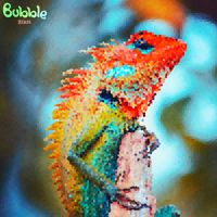 Bubble - Zikit