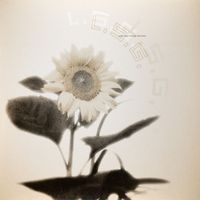 L.S.G. - Fontana / Venus Remixes