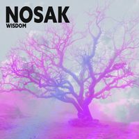 Nosak - Wisdom