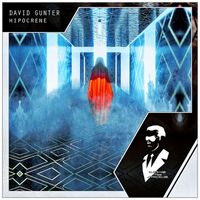 David Gunter - Hipocrene