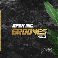 Various Arists - Open Mic Grooves Vol.2