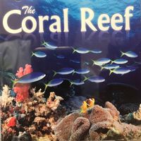 Shakimra - The Coral Reef