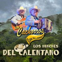 Los Cachorros De Juan Villarreal - Los Huaches del Calentano