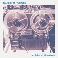 Talking To Turtles - In Spite of Ourselves