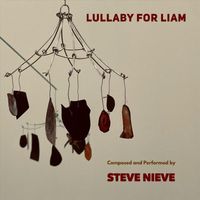 Steve Nieve - Lullaby for Liam