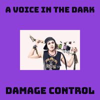 Damage Control - A Voice In The Dark