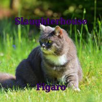 Slaughterhouse - Figaro (Explicit)