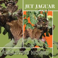 Jet Jaguar - Grading Honey