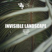Invisible Landscape - Keep It Funky